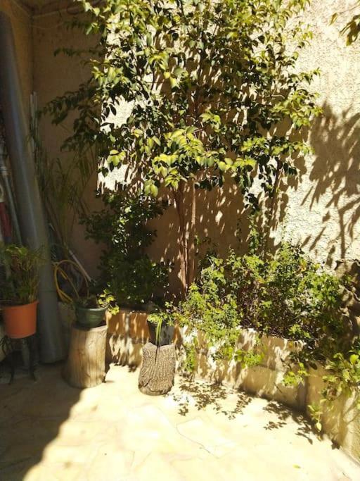 Studio Ideal Pour Deux Voyageurs Sur Marseille Eksteriør bilde