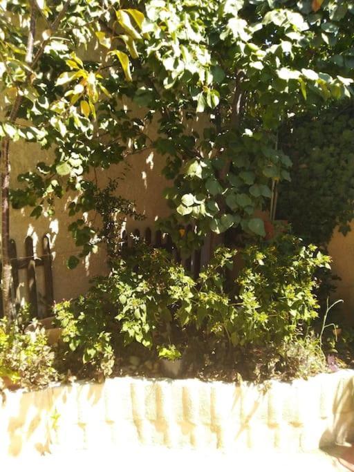Studio Ideal Pour Deux Voyageurs Sur Marseille Eksteriør bilde